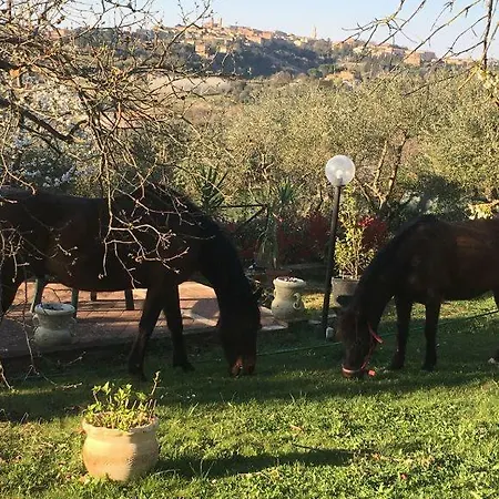 Panorama Di *
